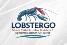 Lobstergo
