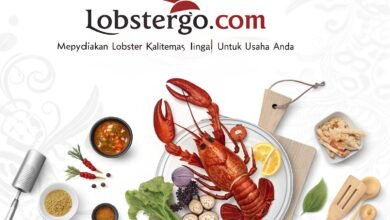 Lobster Kediri Lobstergo Com Menyediakan Lobster Berkualitas T 1