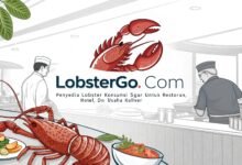 Lobster Kediri Lobstergo Com Penyedia Lobster Konsumsi Segar Un 2
