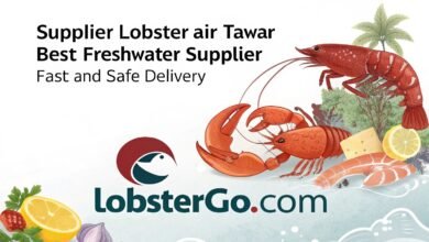 Lobster Kediri Lobstergo Com Supplier Lobster Air Tawar Terbaik 1 1