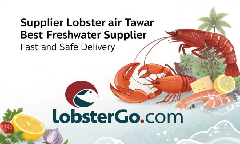 Lobster Kediri Lobstergo Com Supplier Lobster Air Tawar Terbaik 1 1