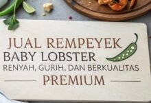 Rempeyek Baby Lobster Renyah, Gurih, Dan Berkualitas Premium