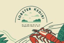 Lobster Kediri Lobster Kediri Pusat Lobster Air Tawar Unggulan Dari Kediri