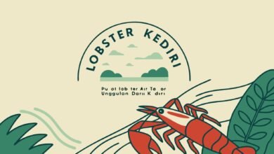 Lobster Kediri Lobster Kediri Pusat Lobster Air Tawar Unggulan Dari Kediri
