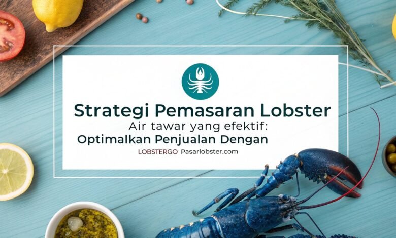 Lobster Kediri Strategi Pemasaran Lobster Air Tawar Yang Efektif: Optimalkan Penjualan Dengan Lobstergo Dan Pasarlobster.com 1 Pemasaran Lobster Air Tawar, Lobster Air Tawar Kediri, Lobster Kediri, Jual Lobster Kediri, Lobstergo, Pasarlobster.com, Marketplace Lobster Indonesia, Cara Menjual Lobster Air Tawar, Budidaya Lobster Kediri, Jual Indukan Lobster Online, Strategi Penjualan Lobster, Lobster Air Tawar Online, Lobster Indonesia, Pengusaha Lobster Sukses, Platform Jual Lobster, Lobster Konsumsi, Benih Lobster Air Tawar, Jual Lobster Murah, Lobster Ekspor Indonesia, Lobstergo.com