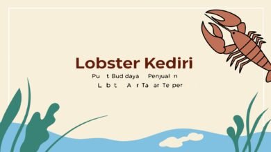 Lobster Kediri Lobster Kediri – Pusat Budidaya &Amp; Penjualan Lobster Air Tawar Terpercaya