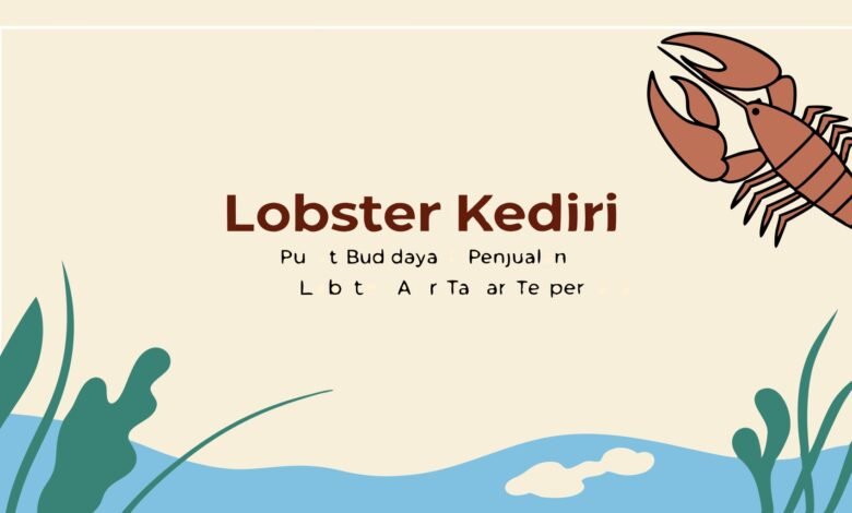 Lobster Kediri Lobster Kediri Lobster Kediri – Pusat Budidaya &Amp; Penjualan Lobster Air Tawar Terpercaya 1 Lobster Kediri Lobster Kediri – Pusat Budidaya &Amp; Penjualan Lobster Air Tawar Terpercaya