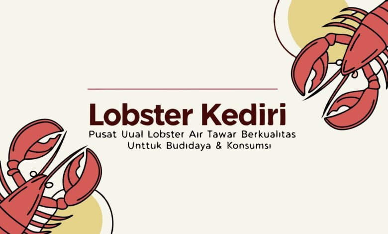 Lobster Kediri Lobster Kediri – Pusat Jual Lobster Air Tawar Berkualitas Untuk Budidaya &Amp; Konsumsi 1 Lobster Kediri – Pusat Jual Lobster Air Tawar Berkualitas Untuk Budidaya &Amp; Konsumsi
