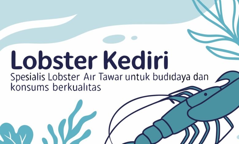 Lobster Kediri Lobster Kediri – Spesialis Lobster Air Tawar Untuk Budidaya Dan Konsumsi Berkualitas 1 Lobster Kediri – Spesialis Lobster Air Tawar Untuk Budidaya Dan Konsumsi Berkualitas