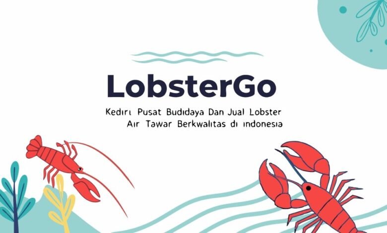 Lobster Kediri Buat Tulisan Lobstergo Kediri Pusat Budidaya Da