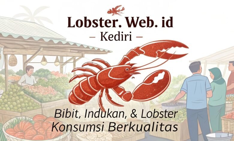 Lobster Kediri Lobster Web Id Di Kediri Jual Lobster Air Tawar Di