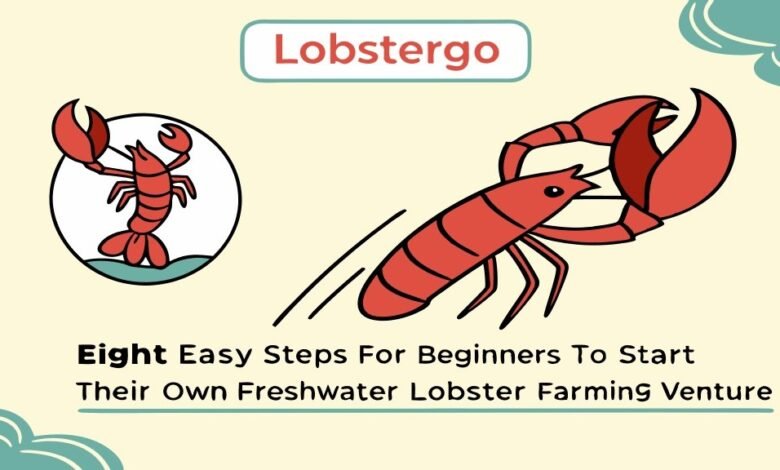 Lobster Kediri Budidaya Lobster Air Tawar: Peluang Bisnis Menjanjikan Dan 8 Cara Mudah Untuk Pemula 1 Lobster Kediri Lobstergo Budidaya Lobster Air Tawar Peluang Bi