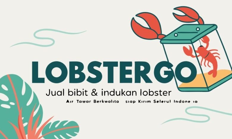 Lobster Kediri Lobstergo – Spesialis Lobster Air Tawar Untuk Budidaya Dan Konsumsi Berkualitas 1 Jual Bibit &Amp; Indukan Lobster Air Tawar