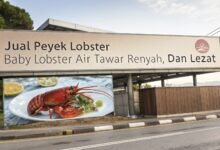 Jual Peyek Lobster – Nikmati Gurihnya Baby Lobster Air Tawar Crispy Setiap Saat